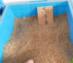詳細(xì)介紹煙臺(tái)糊料的組成部分